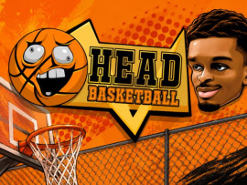 Head Basketball img